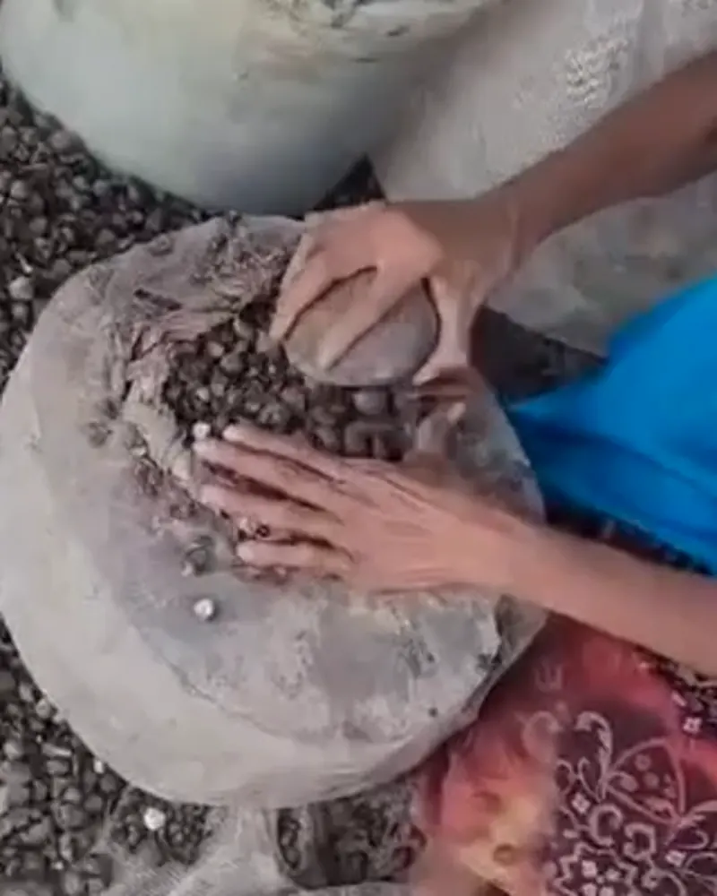 Hands grinding roasted Batana nuts on a traditional stone metate in Honduras.