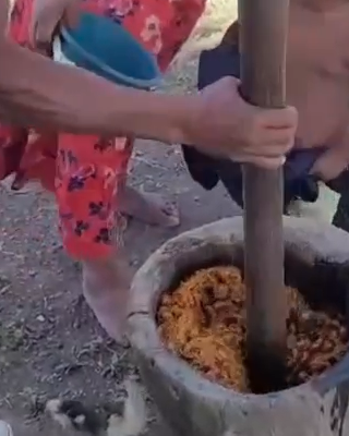 Wooden pestle being driven into a carved mortar of fresh Batana paste.